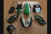 Complete and painted fairings Monster 2