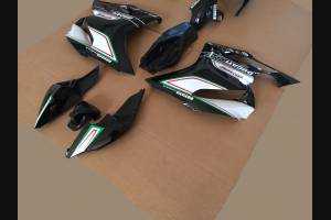 Complete and painted fairings CORSE TRICOLORE 