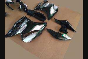 Complete and painted fairings CORSE TRICOLORE 