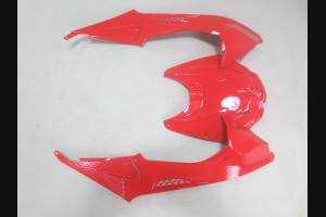 Lackierte Straße Verkleidung auf ABS kompatibel mit BMW S 1000 RR 2009 - 2014 - MXPCAV11432