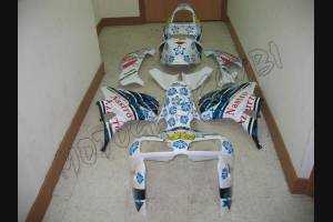 Lackierte Straße Verkleidung auf ABS kompatibel mit Honda CBR 600 RR 2005 - 2006 - MXPCAV1553