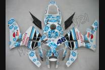 Lackierte Straße Verkleidung auf ABS kompatibel mit Honda CBR 600 RR 2005 - 2006 - MXPCAV1554