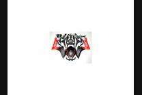 Carene stradali in abs verniciate compatibili con Aprilia RS4 125 2012 - 2017 - MXPCAV12199