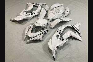 Carenage en abs pour la roue avec peinture compatible avec Kawasaki ZX10R 2016 - 2019 - MXPCAV12210