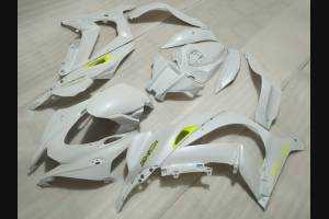 Carenage en abs pour la roue avec peinture compatible avec Kawasaki ZX10R 2016 - 2019 - MXPCAV12212