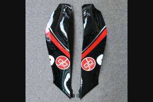 Lackierte Straße Verkleidung auf ABS kompatibel mit Kawasaki ZX10R 2016 - 2019 - MXPCAV12213