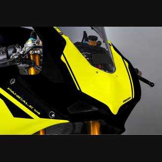 Painted Race Fairings Ducati Panigale V4 V4S - MXPCRV12282