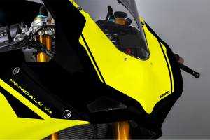 Painted Race Fairings Ducati Panigale V4 V4S - MXPCRV12282