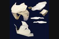 Kawasaki Ninja 125 2019 - 2020 race Fairings without Front Fender - MXPCRD12303