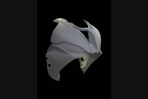 Bmw S1000 RR 2019 fairings in 5 pieces without front fender - MXPCRD12123
