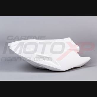 Bmw S 1000 RR 2019 - 2020 Verkleidung Tankabdeckung, mit Hoecker ohne Kotflugel - MXPCRD12122