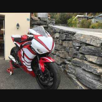 carenado barnizado Honda Cbr 1000 2008 - 2011 + cubre deposito, tornillos, tornillos rapidos MXPCRV12433