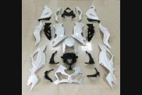 Verkleidungen abs Kawasaki Zx6R 2019 - 2020 mit Kotflugel zu lackieren - MXPCAD12604