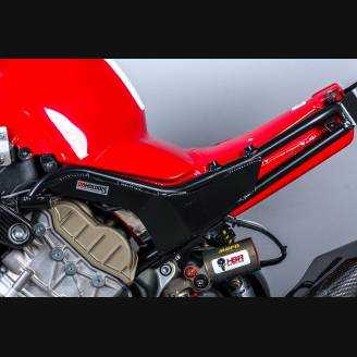 Rear race frame