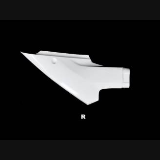 Race Package Yamaha R3 2019 - 2020 : racing fairings + Fasteners + Screws - MXPCRD12365