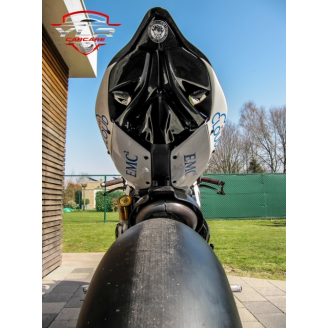 Carenado Racing Pintado Ducati 1299 959 Panigale - MXPCRV5849
