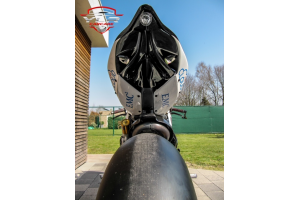 Carenage Racing Peint Ducati 1299 959 Panigale - MXPCRV5849