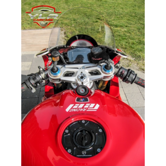 Painted Race Fairings Ducati 1299 959 Panigale - MXPCRV5849