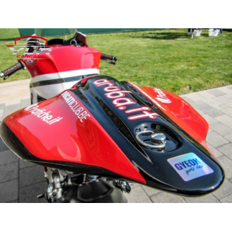 Painted Race Fairings Ducati 1299 959 Panigale - MXPCRV5849