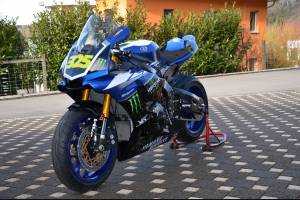 Complete and painted fairings Monster