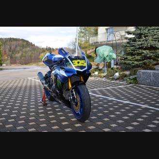 Complete and painted fairings Monster