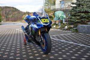 Complete and painted fairings Monster