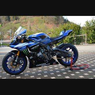 Complete and painted fairings Monster