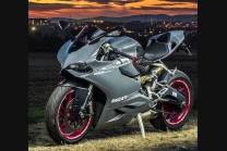 Carenados en abs pintados para la calle compatible con Ducati 1299 Panigale - MXPCAV12143