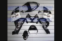 Painted street fairings in abs compatible with Kawasaki ZX6R 636 2005 - 2006 - MXPCAV1688 2