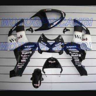 Painted street fairings in abs compatible with Kawasaki ZX6R 636 2005 - 2006 - MXPCAV1688