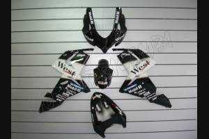 Painted street fairings in abs compatible with Kawasaki ZX10R 2004 - 2005 - MXPCAV1694