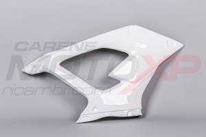 Race-Paket BMW S 1000 RR 2019 - 2020 : Verkleidungen + Schnellverschluss + Screws - MXPCRD12711