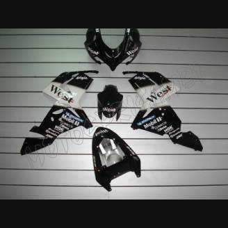 Painted street fairings in abs compatible with Kawasaki ZX10R 2004 - 2005 - MXPCAV1694