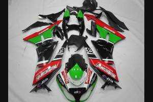 Lackierte Straße Verkleidung auf ABS kompatibel mit Kawasaki ZX6R 2009 - 2012 - MXPCAV12718
