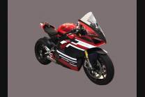 Lackierte Rennverkleidung Ducati Panigale V4 V4S 2018 - 2019 - MXPCRV11932