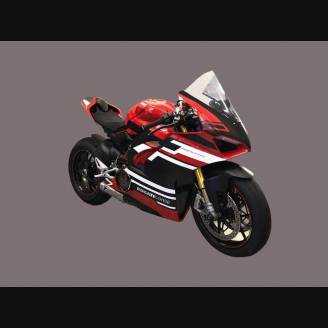 Lackierte Rennverkleidung Ducati Panigale V4 V4S 2018 - 2019 - MXPCRV11932