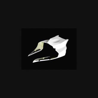 colin monoplaza Yamaha R1 2020 - MXPCRD12404