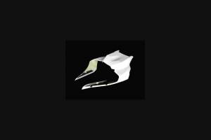 colin monoplaza Yamaha R1 2020 - MXPCRD12404