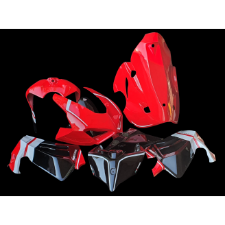 Carenage Racing Peint Ducati Panigale V4 R 2019 - 2020 - MXPCRV12784
