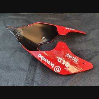 Painted street fairings in abs compatible with Ducati Panigale V4R for Akrapovic exhaust - MXPCAV12787