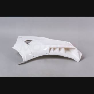 Honda CBR 1000 RR 2020 - 2021 Verkleidungen ohne Kotflugel - MXPCRD12739