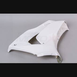 Honda CBR 1000 RR 2020 - 2021 Full fairings without front fender- MXPCRD12739