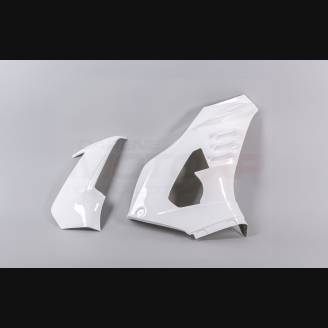 Carénages Honda CBR 1000 RR 2020 - 2021 no Pare-boue - MXPCRD12739