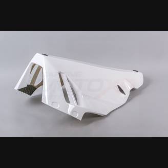 Honda CBR 1000 RR 2020 - 2021 Verkleidungen ohne Kotflugel - MXPCRD12739