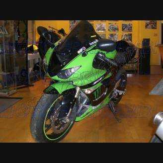 Lackierte Straße Verkleidung auf ABS kompatibel mit Kawasaki ZX10R 2006 - 2007 - MXPCAV1808