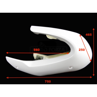 Race Fairing 