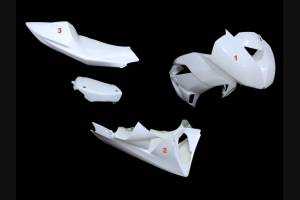 Paquete para el circuito Kawasaki Zx6R 2009 - 2012 : Carenado + tornilleria rapida + Screws - MXPCRD11586