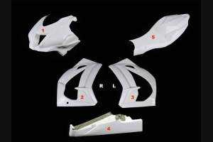 Kawasaki Zx10R 2016 -2020 fairing in 5 pieces without front fender- MXPCRD12084