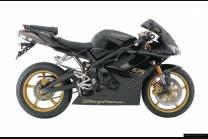 Carenage en abs pour la roue avec peinture compatible avec Triumph Daytona 675 2009 - 2012 - MXPCAV1836