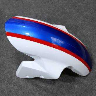 Complete and painted fairings in abs BM15B BLTGH